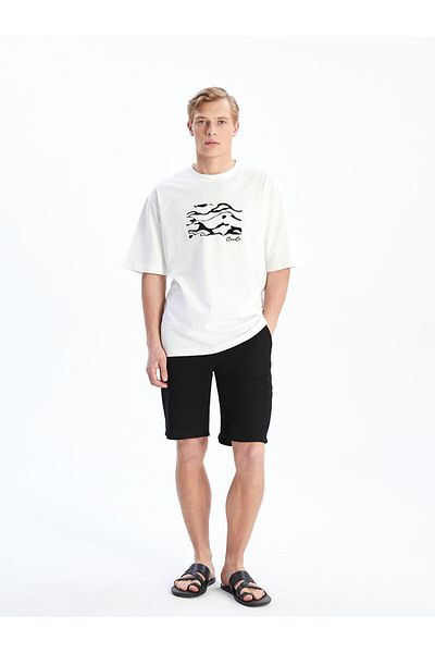 LC Waikiki Standard Fit Men's Shorts