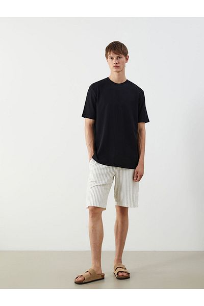 LC Waikiki Standard Fit Striped Men's Shorts