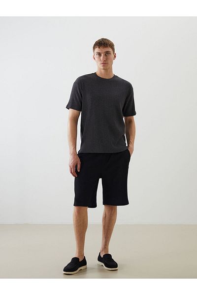LC Waikiki Standard Fit Men's Shorts