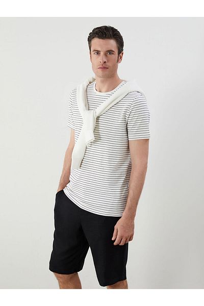 LC Waikiki Crew Neck Striped Men's T-Shirt