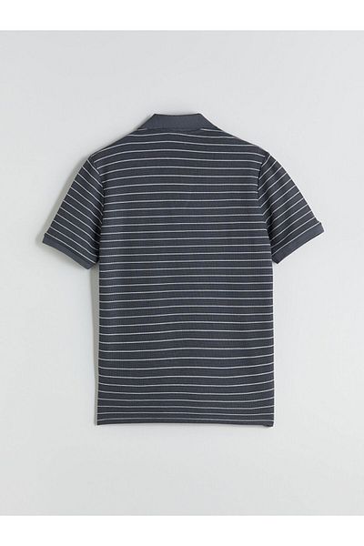 LC Waikiki Polo Neck Striped Men's T-Shirt