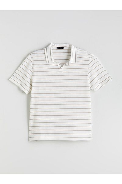 LC Waikiki Polo Neck Striped Men's T-Shirt