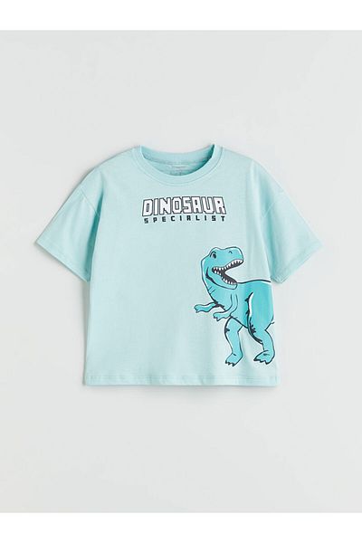 LC Waikiki Printed Boys' T-Shirt and Shorts 2-Pack