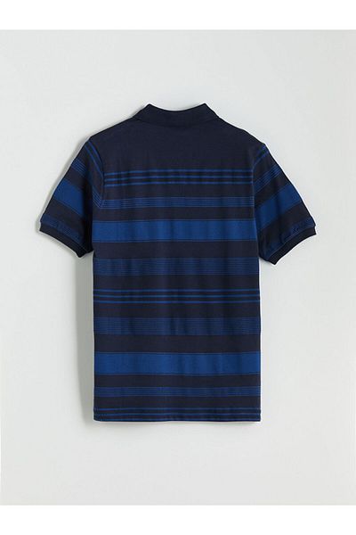 LC Waikiki Polo Neck Color Block Men's T-Shirt