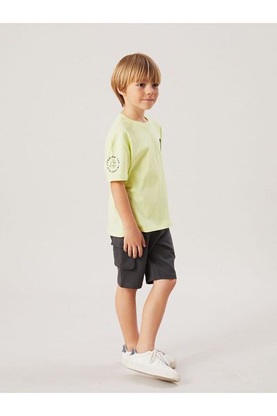 LC Waikiki Lcw Crew Neck Printed Boys' T-Shirt