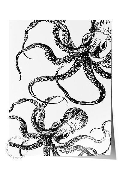 Postifull Frameless Wall Poster, Octopus, Illustration, Black, White Color Poster, 2025 Summer Selection, No:1098