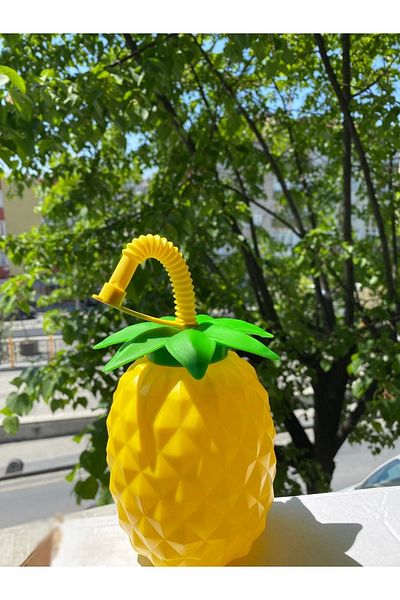 AC BOX Pineapple Straw Drinker (336336)