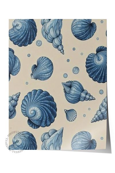 Postifull Frameless Wall Poster, Seashells, Illustration, Blue Color Poster, 2025 Summer Selection, No:1096