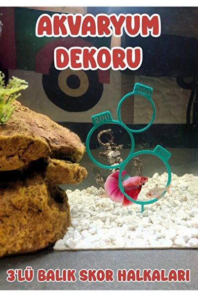 Akvaryum Balık Skor Halkaları 3'lü Beta Balık Skor Halkası Küçük Akvaryum ve ...