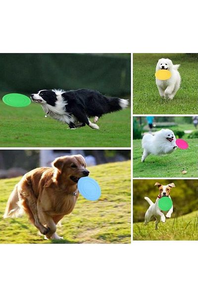 STLIFE 2Pcs Silicone Frisbee Dog Toy Dog Training Practice Toy Throwing Catch Dog Disc