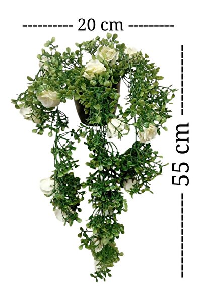 Cennet Home Sarkan Yabangülü Aranjmanı sarmaşık siyah yakut plastik saksıda 5...