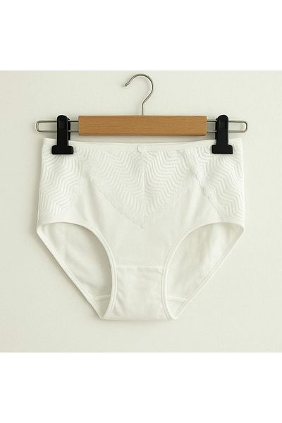 enmodaiçgiyim Ecru Lace Detailed Large Size High Waist Luxury Women's Slip Panties