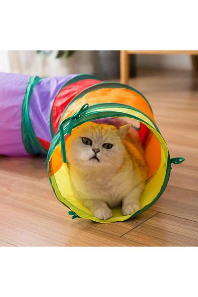 LİON PAW Curved Cat Tunnel Folding Rainbow S Curved Cat Dog Pet Play Tunnel 122X25 cm
