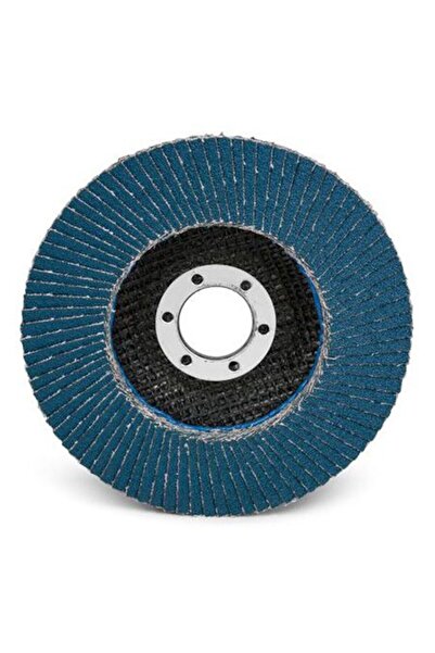 PROLINE Disc Abraziv Lamelar Cu Zirconiu 125Mm - Gr.40