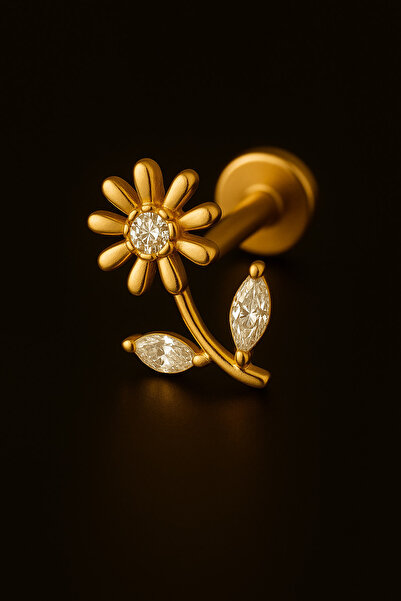 depozoom Titanyum Flatback Tragus Helix Conch Flat kıkırdak Çiçek Zirkon Pier...