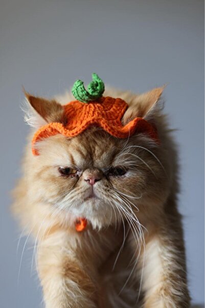 Talinhandmade قبعة قطة مصنوعة يدوياً - برتقالية