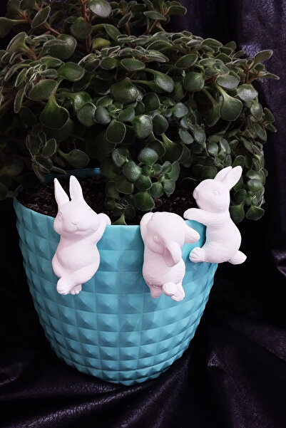 Raw Triple Rabbit Terrarium Object Flower Pot Ornament Decorative Object ( 3PCS )