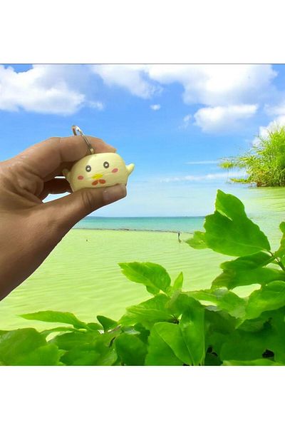 demirosa Soft Cute Cartoon Keychain & Bag Accessory