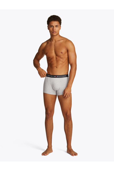 Tommy Hilfiger Tommy Hilfiger Men Gray Original Logo Waistband Trunk Pack of 3