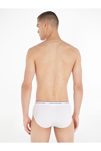 Tommy Hilfiger Tommy Hilfiger Men Multicolor Cotton Brief Pack of 3