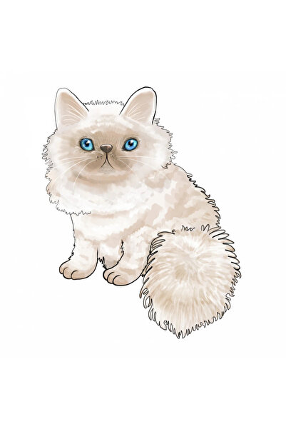 INOVATIX Σετ 8 τεμαχίων, Αυτοκόλλητο Χνουδωτό Γατάκι, INOVATIX®. 6 εκ.