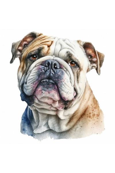 INOVATIX Set de 8 piese, autocolant portret buldog, INOVATIX®. 6 cm