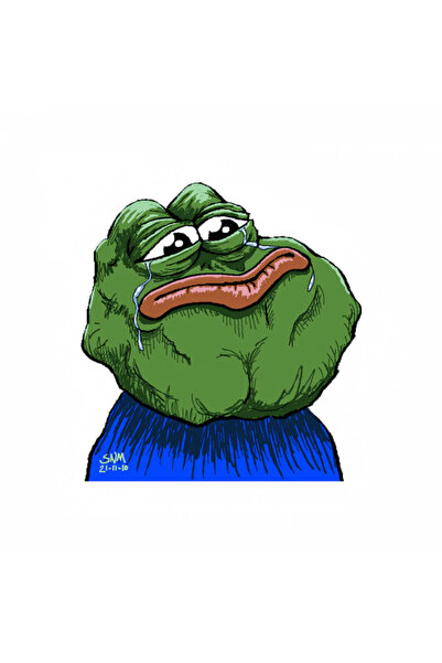 INOVATIX Set de 8 piese, autocolant Meme Pepe broasca cu față furioasă și lac...