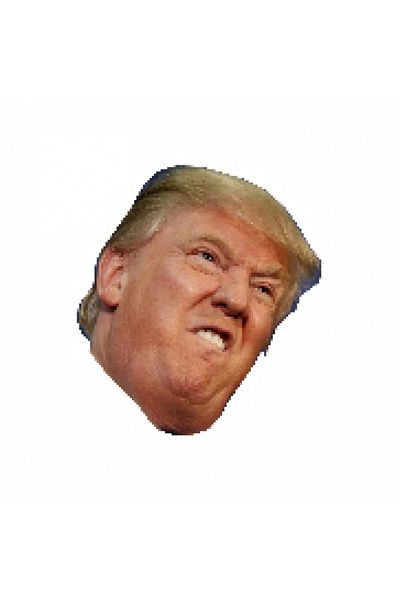 INOVATIX Set de 8 bucăți, autocolant meme Donald Trump nervos, INOVATIX®. 6 cm