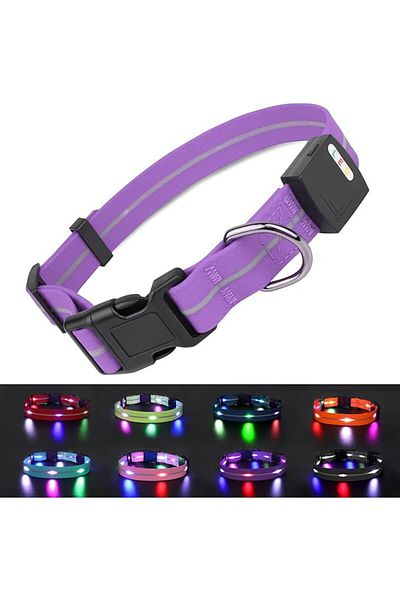 Karll Dog collar, with LED, textile/plastic, purple, size L
