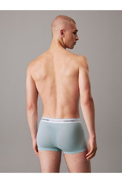 Calvin Klein Men Multicolored Trunk Pack of 3