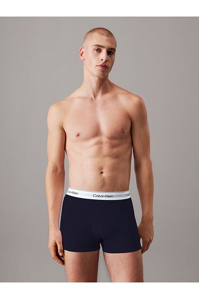 Calvin Klein Men Multicolored Trunk Pack of 3