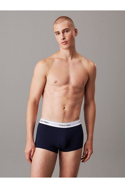 Calvin Klein Calvin Klein Men Multicolor Low Rise Trunk Pack of 3