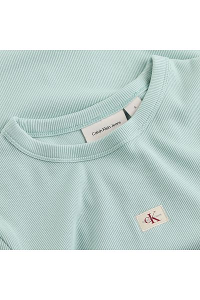 Calvin Klein Women Cloud Blue Slim Ribbed Cotton T-Shirt