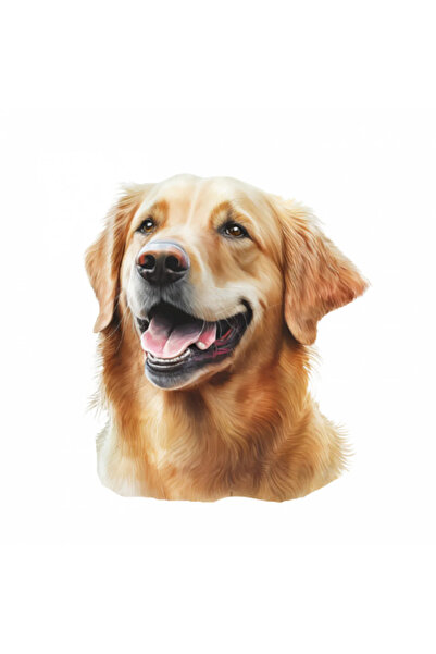 INOVATIX Set de 8 bucăți, autocolant rasă Golden Retriever, INOVATIX®. 6 cm