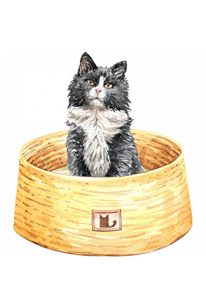 INOVATIX Σετ 8 τεμαχίων, αυτοκόλλητο γάτας στο κρεβάτι της, INOVATIX®. 6 εκ.