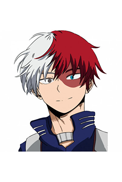 INOVATIX Σετ 8 τεμαχίων, Αυτοκόλλητο My Hero Academia Shoto Todoroki anime, I...