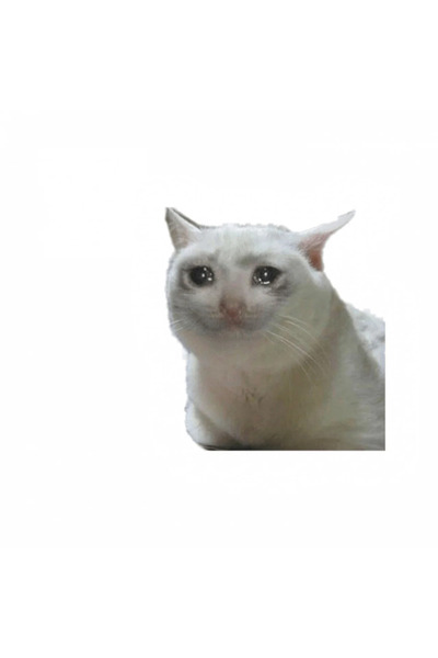 INOVATIX Σετ 8 τεμαχίων, Αυτοκόλλητο meme με τη γάτα που κλαίει, INOVATIX®. 6...