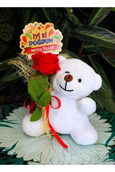 Aden Çiçek Evi ELİNDE KADİFE GÜL & İYİ Kİ DOĞDUN KARTI TUTAN 25cm PELUŞ AYI S...