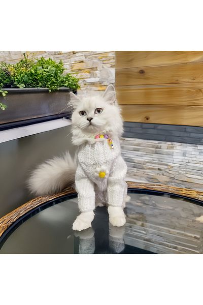 Lady Fify White Sweater with Daisy for Cat and Dog