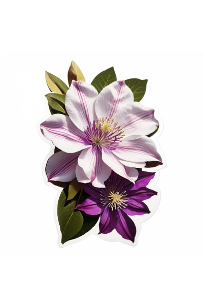 INOVATIX Set de 8 autocolante cu flori Clematis, INOVATIX®. 6 cm