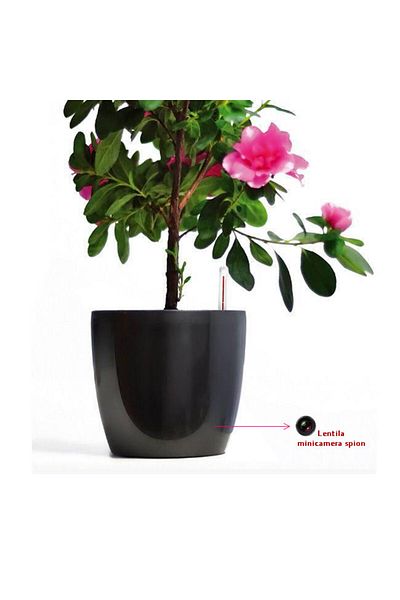 Minitechnics IP video camera p2p wi-fi dvr in flower pot, full HD resolution, 32 GB, motion sensor