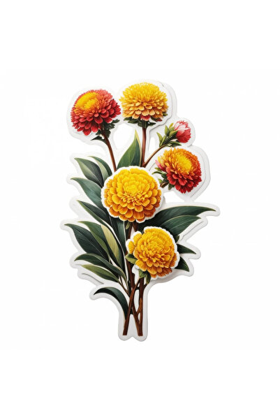 INOVATIX Set de 8 bucăți, autocolant floare Craspedia cu frunze, INOVATIX®. 6 cm