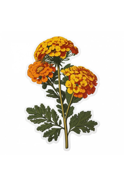 INOVATIX Σετ 8 τεμαχίων, Αυτοκόλλητο Λουλούδι Θηρανθεμίς, INOVATIX®. 6 εκ.