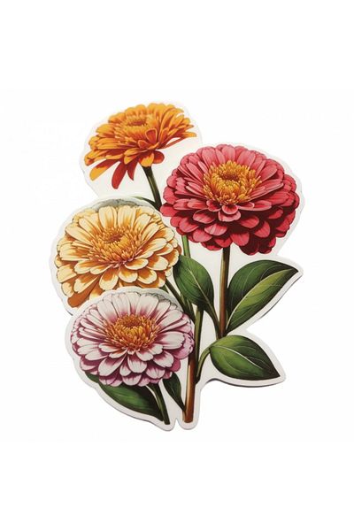 INOVATIX Set de 8 autocolante cu flori de zinnia, INOVATIX®. 6 cm