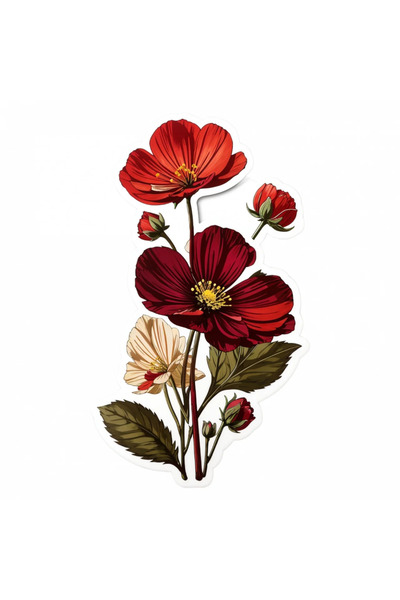 INOVATIX Set de 8 autocolante flori Cosmos ciocolată, INOVATIX®. 6 cm