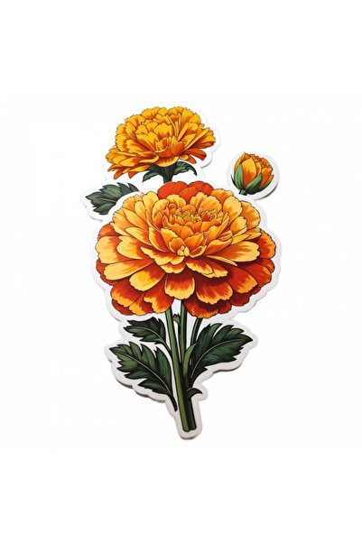 INOVATIX Σετ 8 τεμαχίων, Αυτοκόλλητο Crait Flowers, INOVATIX®. 6 εκ.
