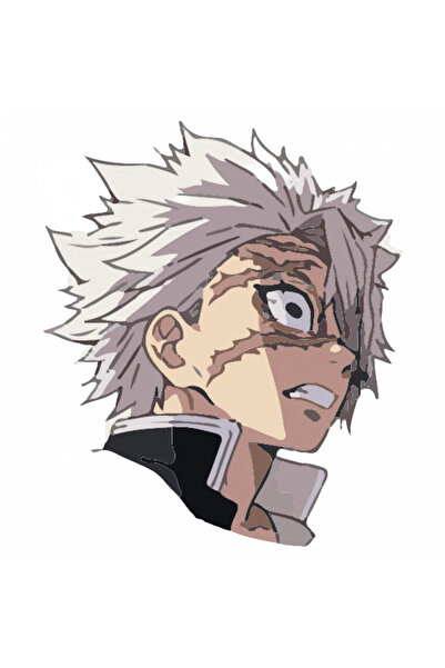 INOVATIX Set de 8 piese, autocolant Demon Slayer Sanemi Shinazugawa anime fur...