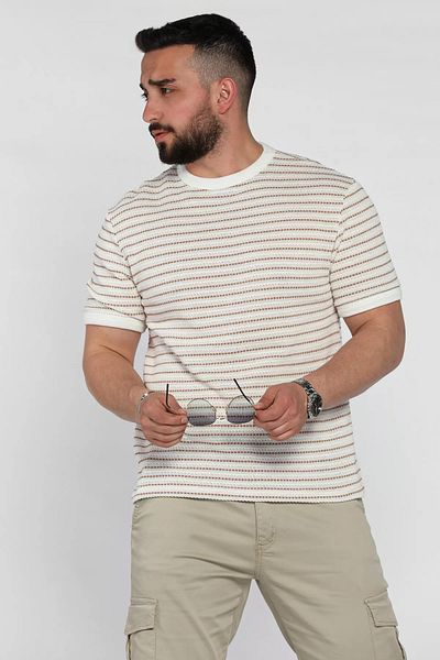 MİSHAR İTALİA Ανδρικό μπλουζάκι Krembej ριγέ Crew Neck