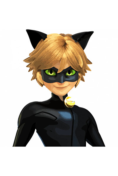 INOVATIX Σετ 8 τεμαχίων, Αυτοκόλλητο Θαυματουργό Cat Noir, INOVATIX®. 6 εκ.