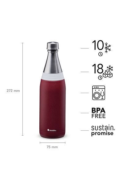 Aladdin Aladdin Fresco Thermavac Insulated Water Bottle – Stainless Steel Double Wall Bottle - 0.6 L